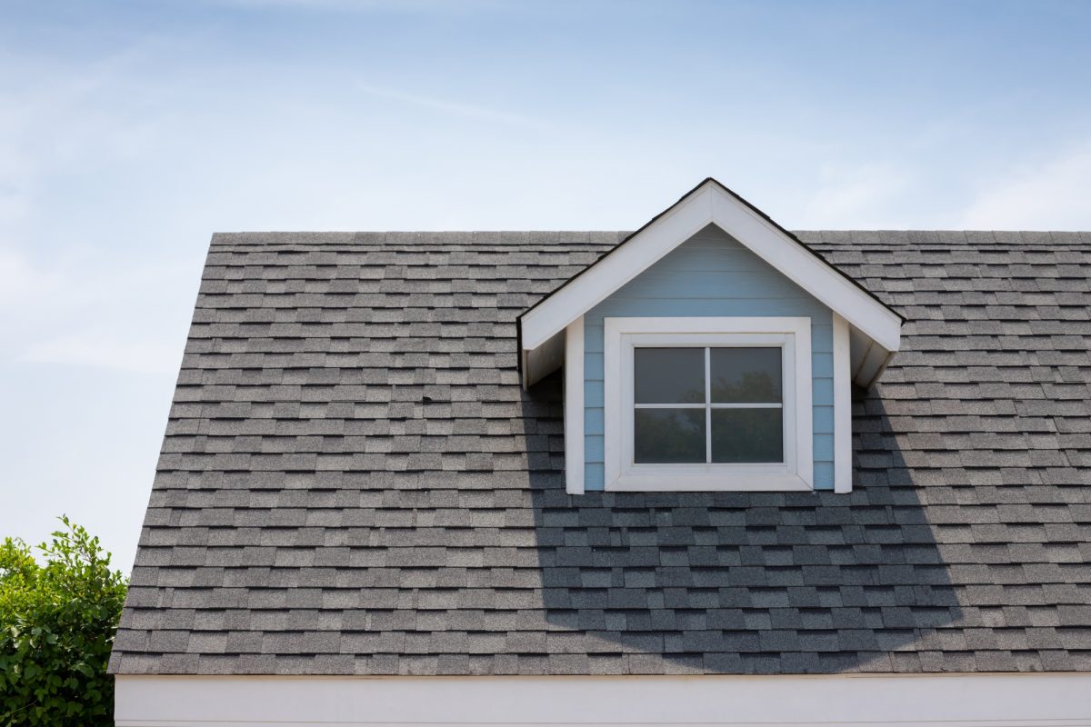 Roof with different paneling